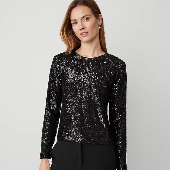NWT Ann Taylor sequin popover PL - Picture 1 of 5